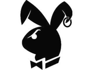  Playboy Rough Decal Proportional