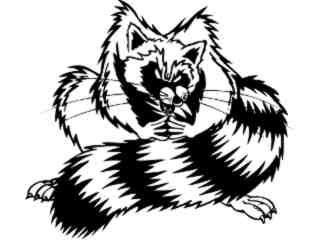  Racoon Cool_ M B 1 Decal Proportional