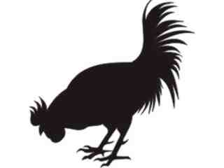  Rooster 1 Decal Proportional