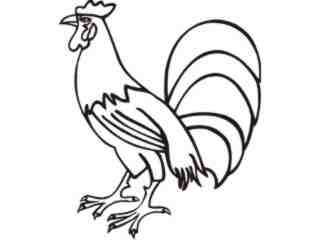  Rooster 2 Decal Proportional