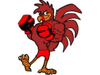  Rooster Boxer_ G D 1 Decal Proportional