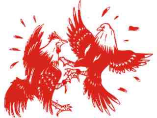  Roosters Fighting Decal Proportional