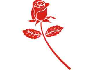  Rose 7 Decal Proportional