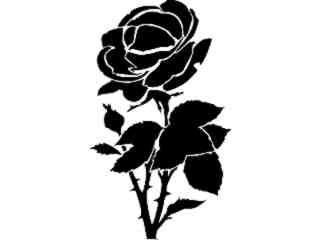  Rose Thorny Decal Proportional
