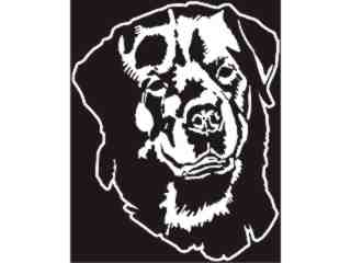  Rottweiler_ I N V Decal Proportional