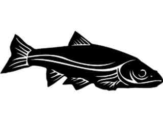  Sacramento Squaw Fish_ 1 4 1_ V A 1 Decal Proportional