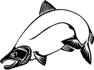  Salmon_ 1 4 0_ V A 1 Decal Proportional