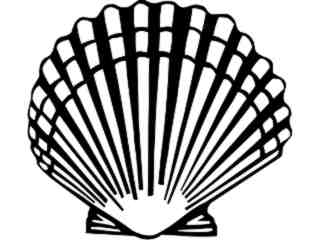  Scallop_ 1 4 0_ V A 1 Decal Proportional