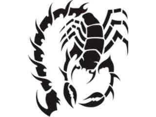  Scorpion Tribalized_ 0 1 7 Decal Proportional