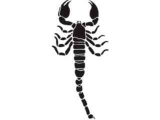  Scorpion Tribalized_ 0 2 1 Decal Proportional