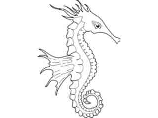  Seahorse_ 0 1 1 Decal Proportional