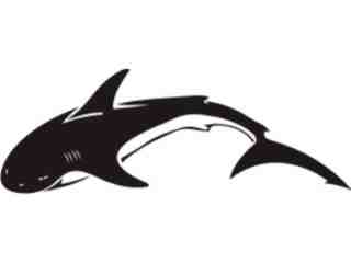  Shark Tribalized_ 0 0 4 Decal Proportional