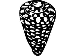  Shell Marble Cone_ 1 7 9_ V A 1 Decal Proportional