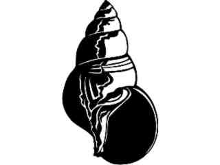  Shell Whelkl_ 1 7 9_ V A 1 Decal Proportional