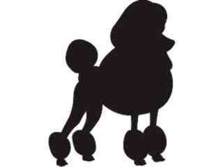  Silhouette Poodle Decal Proportional