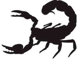  Silhouette Scorpion Decal Proportional