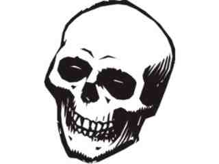 Skull 0 2 Decal Proportional