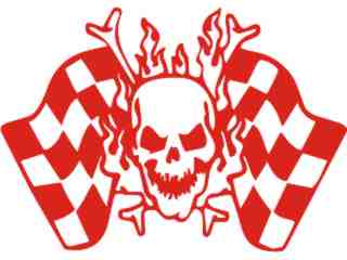  Skull Checker Flag Decal Proportional