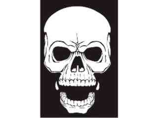  Skull Enter_ I N V Decal Proportional