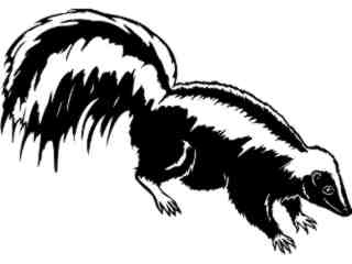  Skunk_ 1 3 8_ V A 1 Decal Proportional