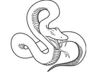  Snake_ 0 5 5a Decal Proportional