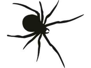  Spider Decal Proportional