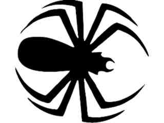  Spider Design Decal Proportional