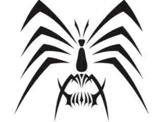  Spider Tribal_ 0 6 7 Decal Proportional