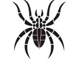  Spider Tribal_ 0 6 8 Decal Proportional