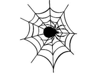  Spiderin Web Decal Proportional