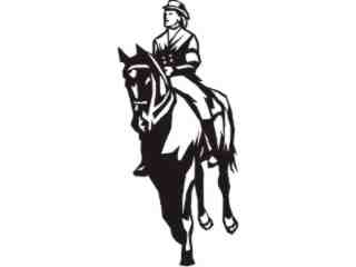  Sports Mega_ 1 0 2 Decal Proportional