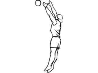  Sports Mega_ 1 6 5 Decal Proportional