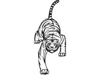  Tiger Animal Wild_ 0 0 6a Decal Proportional