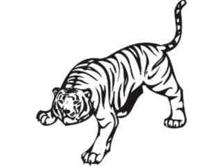  Tiger Animal Wild_ 0 1 0a Decal Proportional