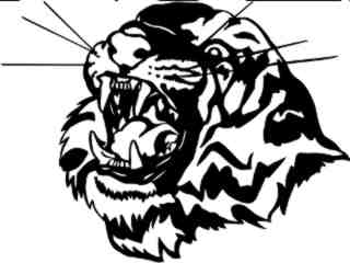  Tiger Head_ 1 4 6_ V A 1 Decal Proportional