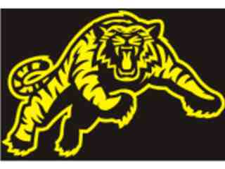  Tigercat 2_ I N V Decal Proportional