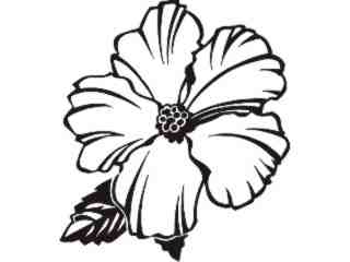  Trees Flowers_ Hibiscus_ P A 1 Decal Proportional