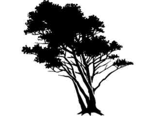  Trees Flowers_ Tree 0 3_ P A 1 Decal Proportional