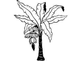  Trees_ Banana_ 1 5 8_ V A 1 Decal Proportional