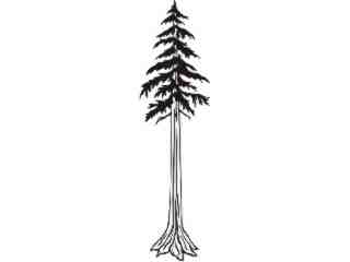  Trees_ Redwood_ 1 5 8_ V A 1 Decal Proportional