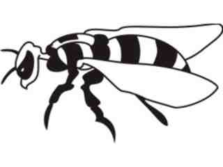  Wasp_ 0 7 7 Decal Proportional