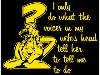  Wife Tell Me Voices Crazy_ I N V Decal Proportional