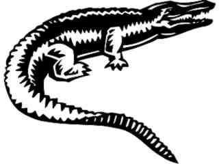  Wild Animals_ Alligator 0 1_ P A 1 Decal Proportional