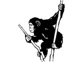  Wild Animals_ Chimpanzee_ P A 1 Decal Proportional