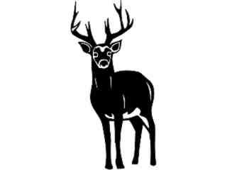 Wild Animals_ Deer_ P A 1 Decal Proportional