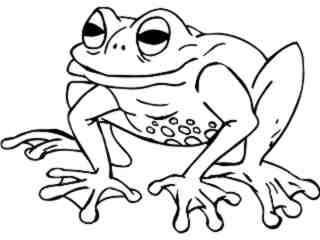  Wild Animals_ Frog 0 1 D H_ P A 1 Decal Proportional