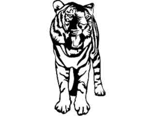  Wild Animals_ Tiger 0 2 D R_ P A 1 Decal Proportional