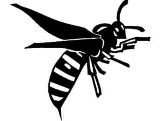  Wild Animals_ Wasp_ P A 1 Decal Proportional