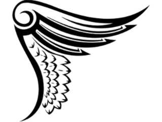  Wings_ 0 0 1 2 Decal Proportional
