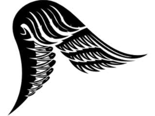  Wings_ 0 0 3 2 Decal Proportional